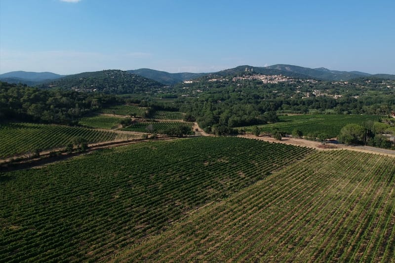 Szőlőterületek a provence-i régióban