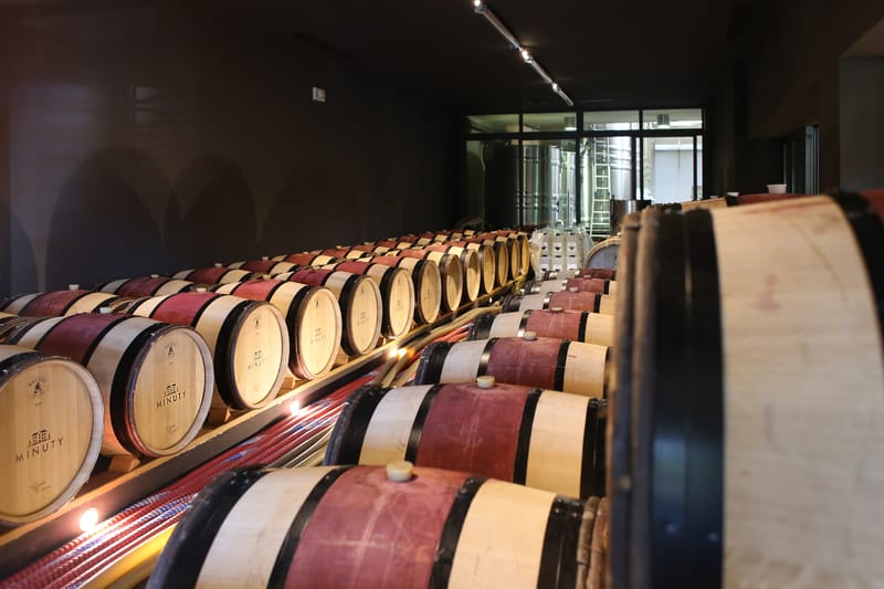 Borerjesztésben az erő