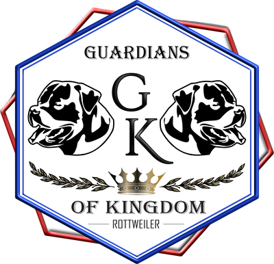 Guardians of Kingdom