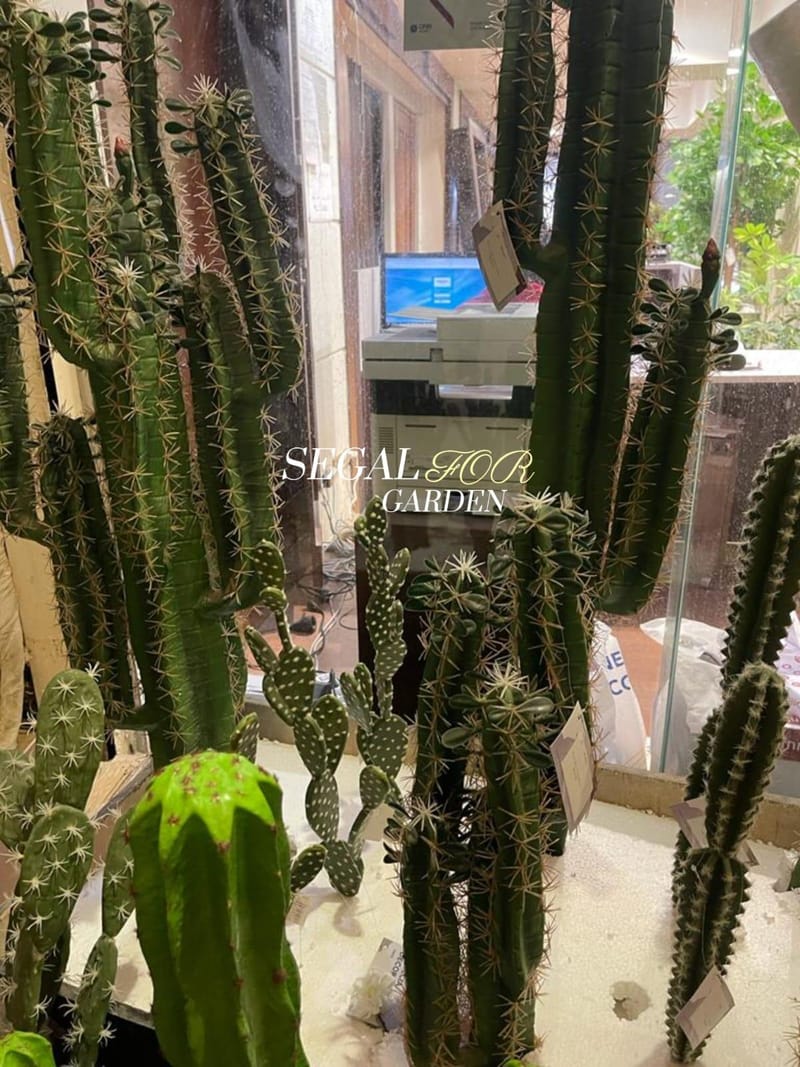 Artificial cactus