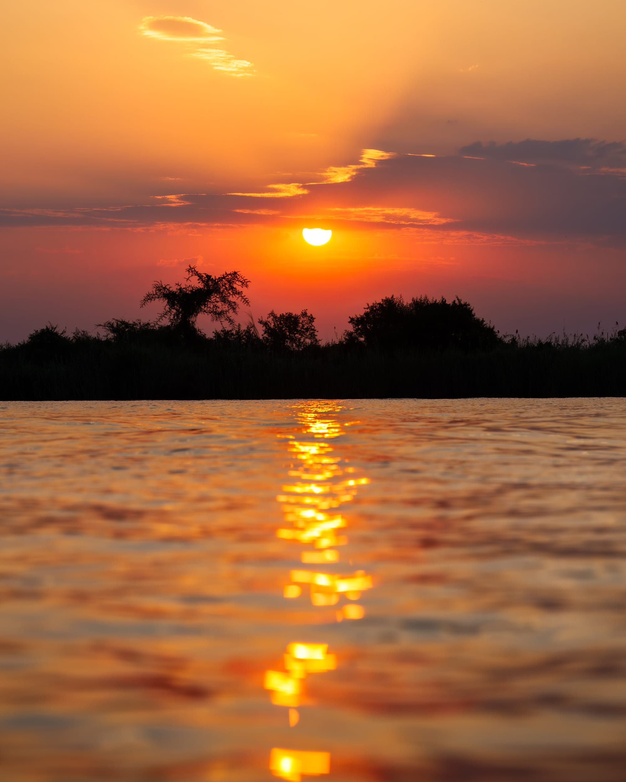 Chobe River Sunset