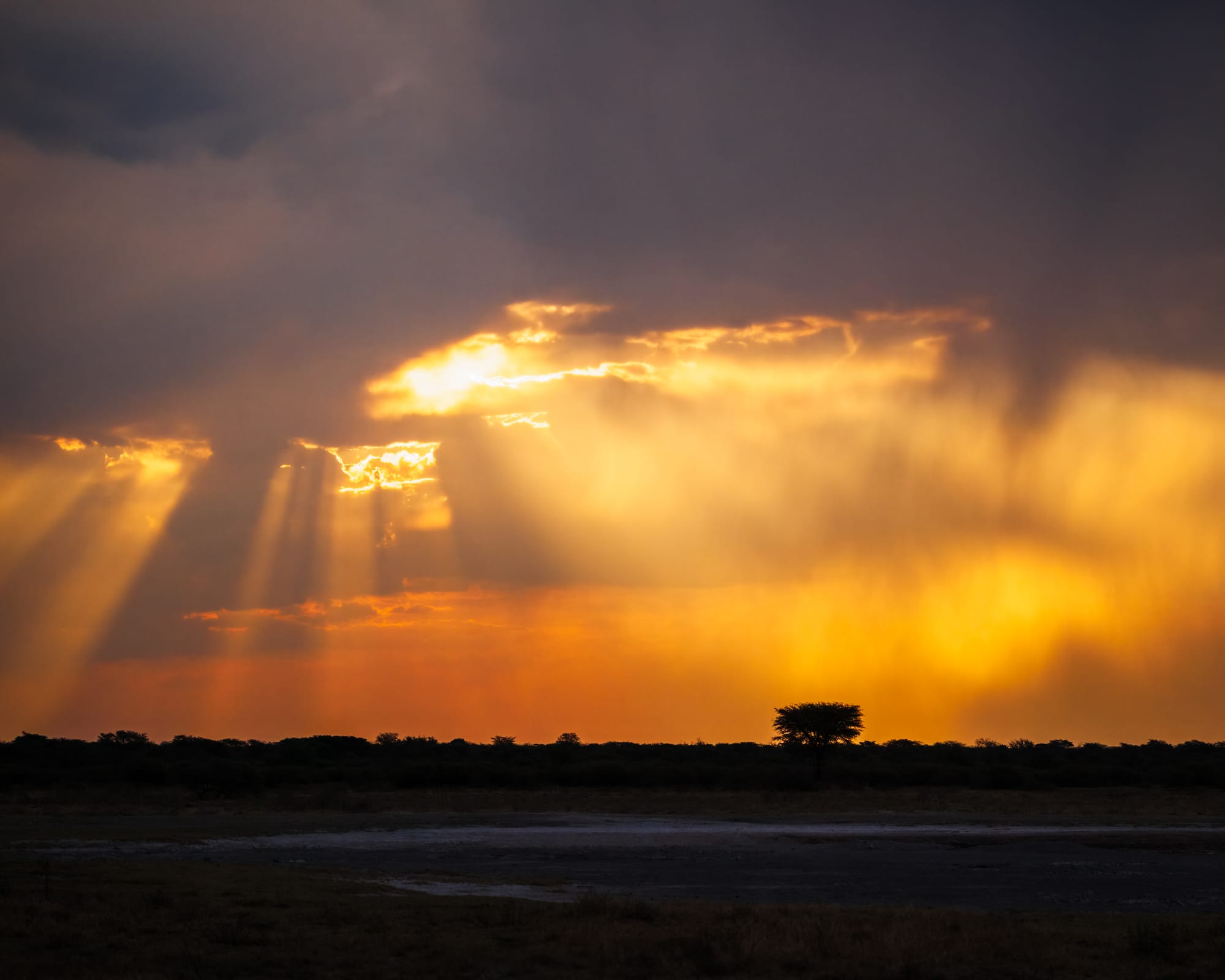 Africa Stormy Sunset