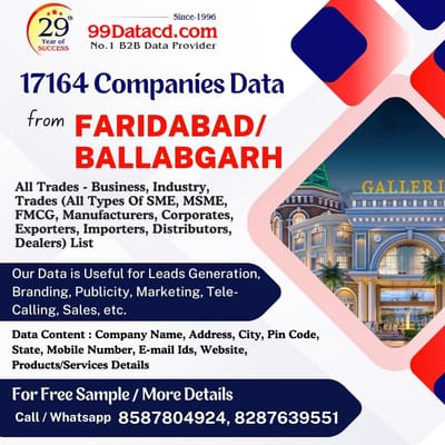 Download Faridabad industrial area company list