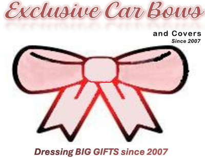Exclusive Car Bows and more