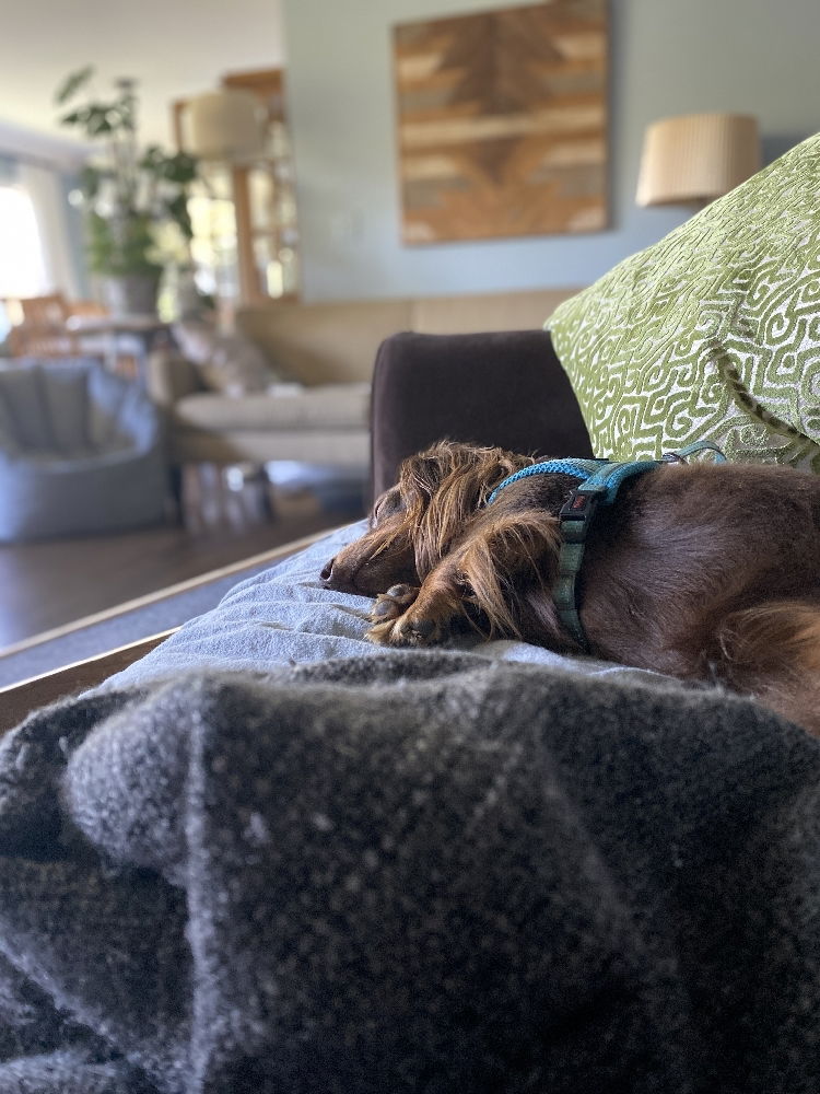 Overnights at Our House