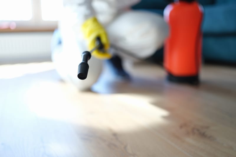 Mold Remediation Services