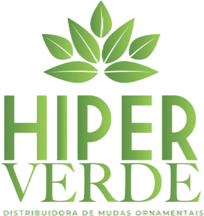 HYPER VERDE MUDAS