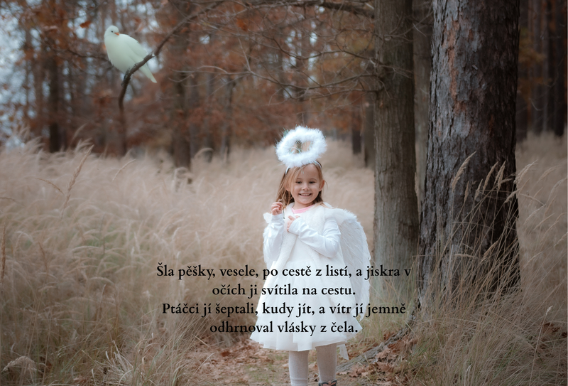 O ztraceném andílkovi