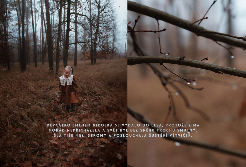 O děvčátku, Které šlo hledat zimu