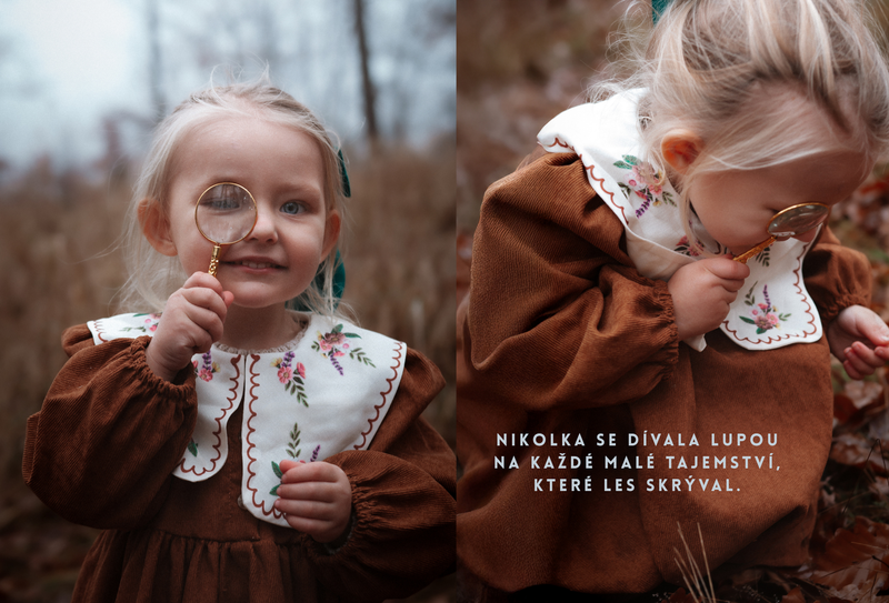 O děvčátku, Které šlo hledat zimu