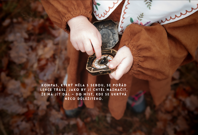 O děvčátku, Které šlo hledat zimu