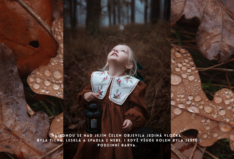 O děvčátku, Které šlo hledat zimu