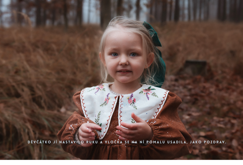 O děvčátku, Které šlo hledat zimu