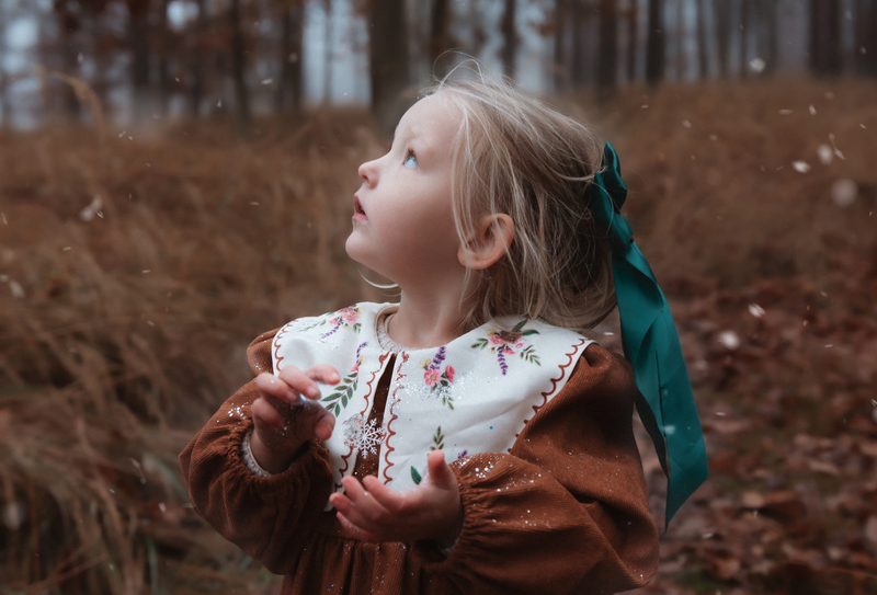 O děvčátku, Které šlo hledat zimu