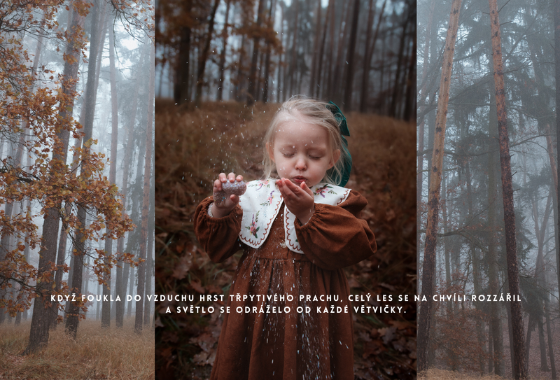 O děvčátku, Které šlo hledat zimu