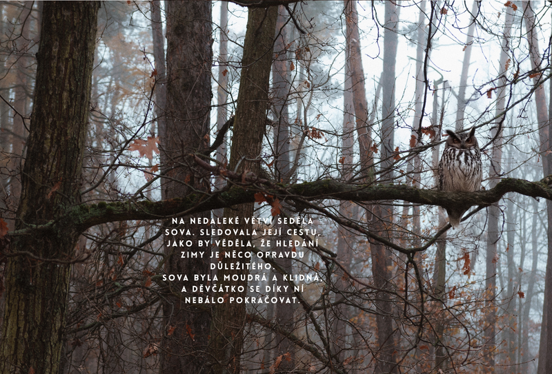 O děvčátku, Které šlo hledat zimu