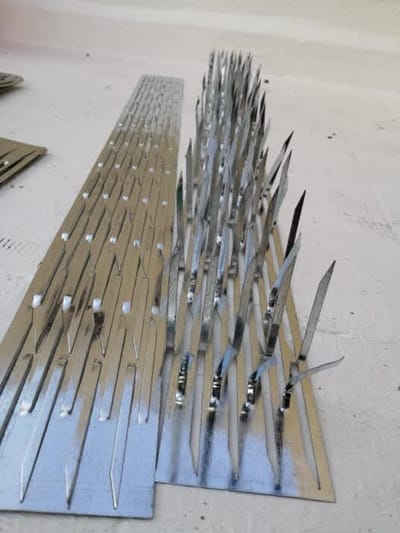 طرد الحمام من الشبابيك والاسطح