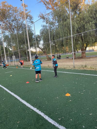 Testimonios y opiniones