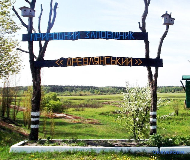 Природний заповідник “Древлянський”