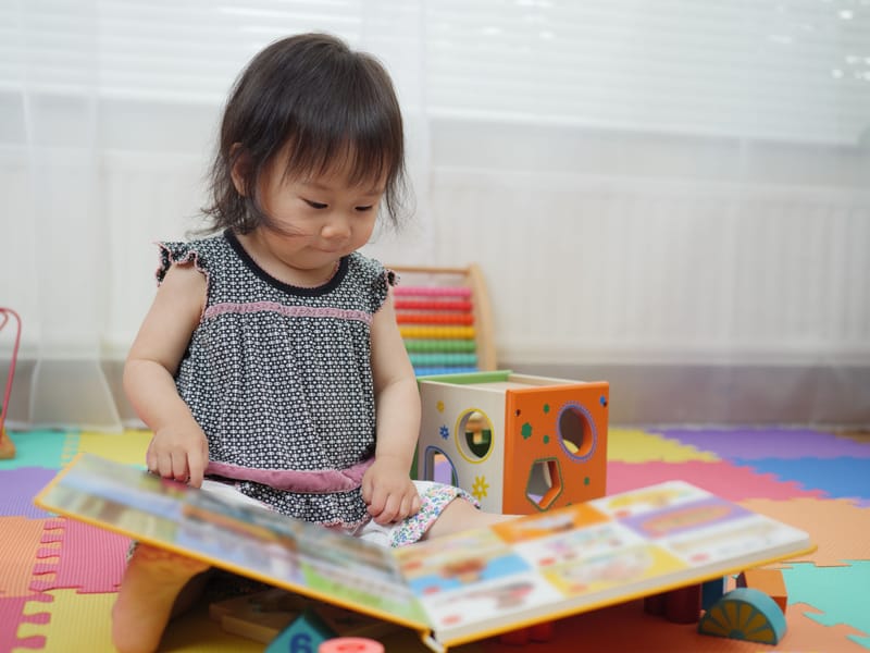 Comprehensive Curriculum