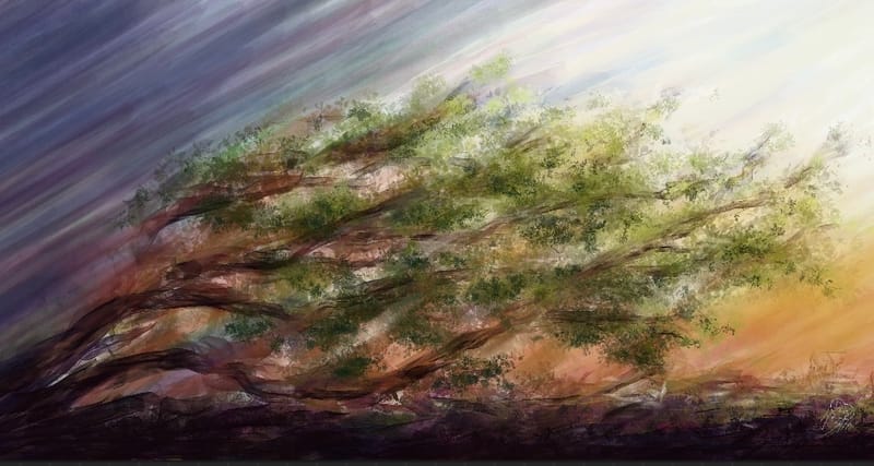 “Arteggio” quando…