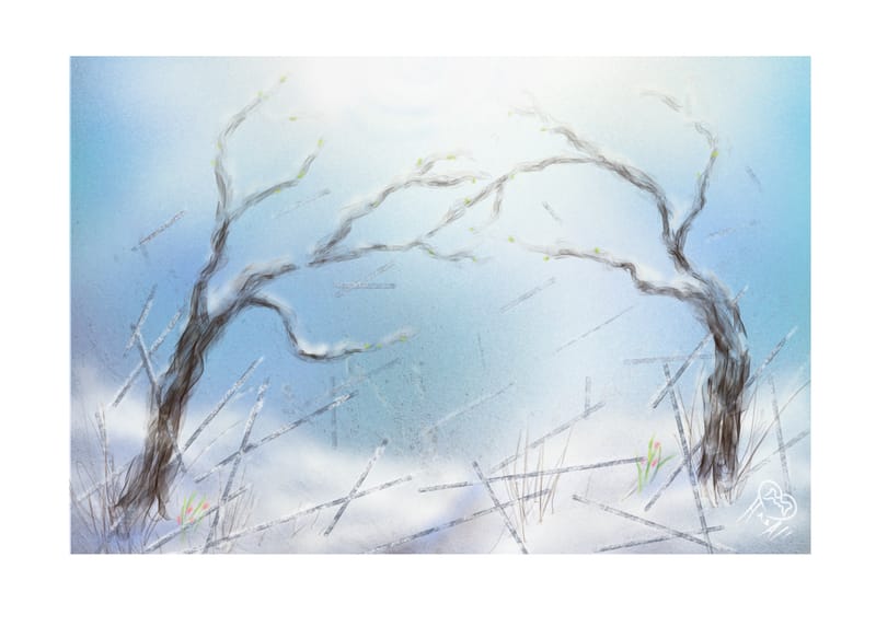 I colori dell’inverno