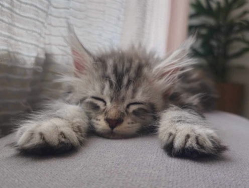 SERA FOURNIE A LEURS DEPARTS: