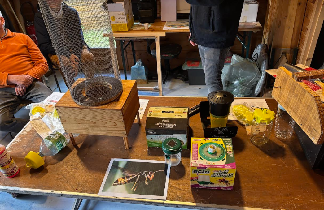 Pièges pour frelon asiatique