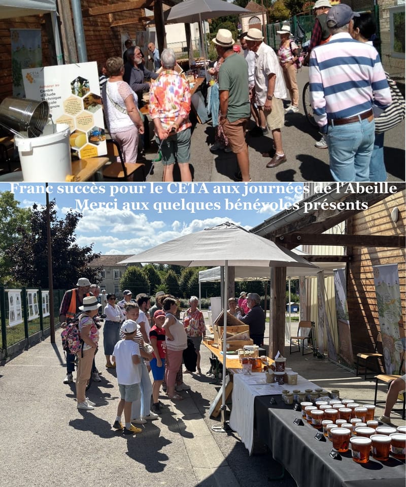 JOURNÉE DE L'ABEILLE