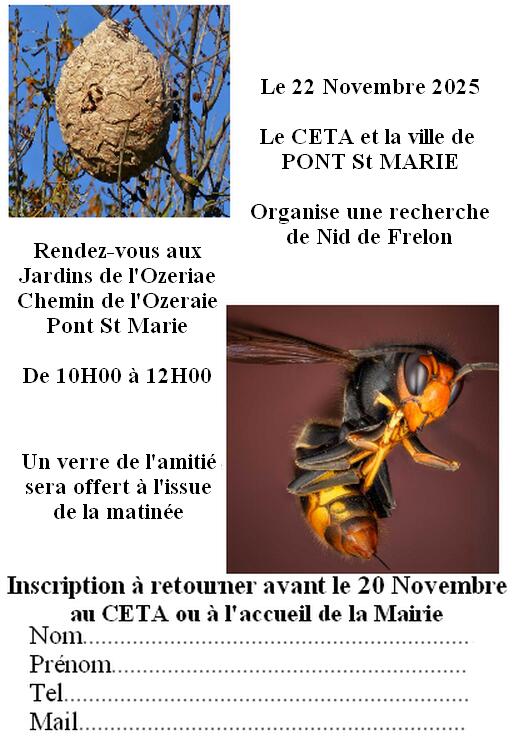 Recherche nid de frelon