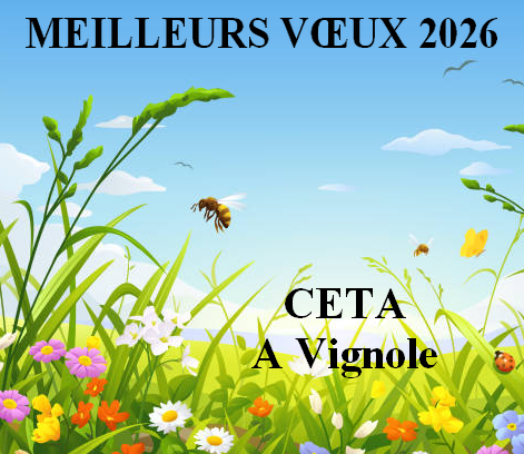 MEILLEURS VŒUX 2026