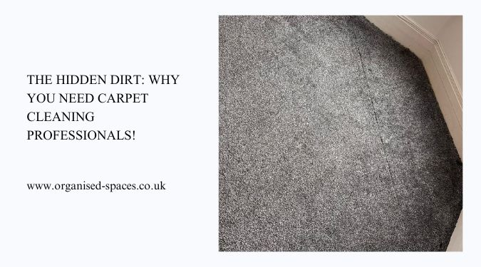 The Hidden Dirt: Why You Need Carpet Cleaning Professionals!