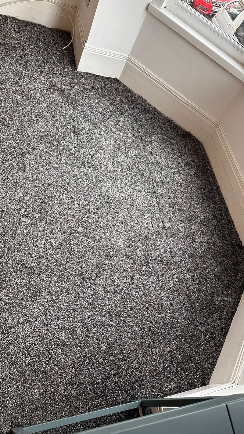 Carpet Cleaning