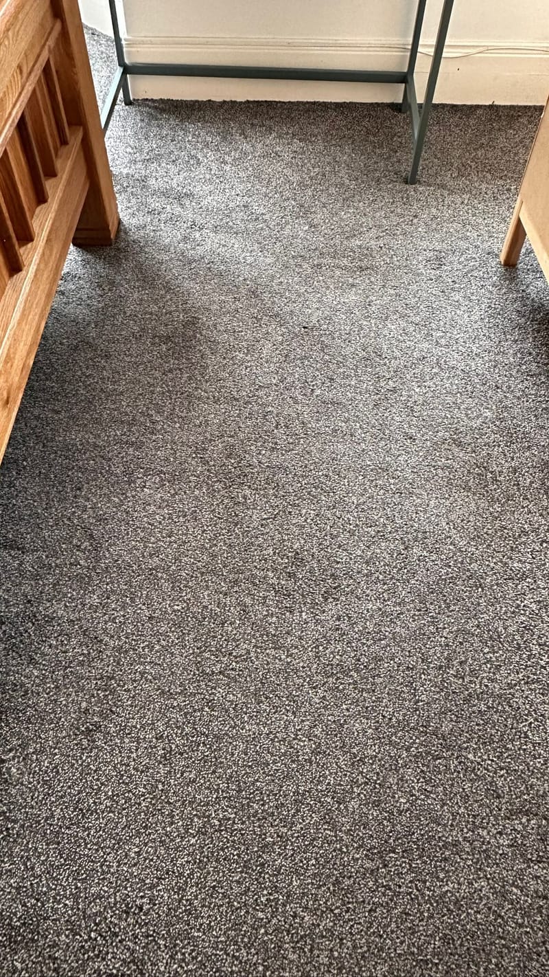 Carpet Cleaning
