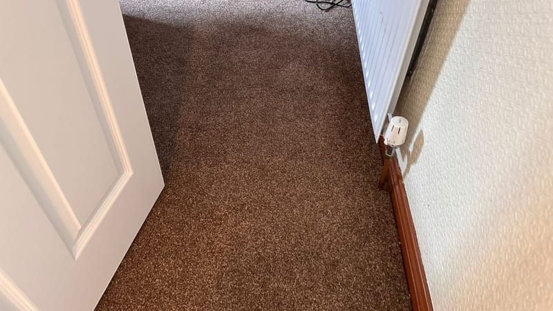 Carpet Cleaning