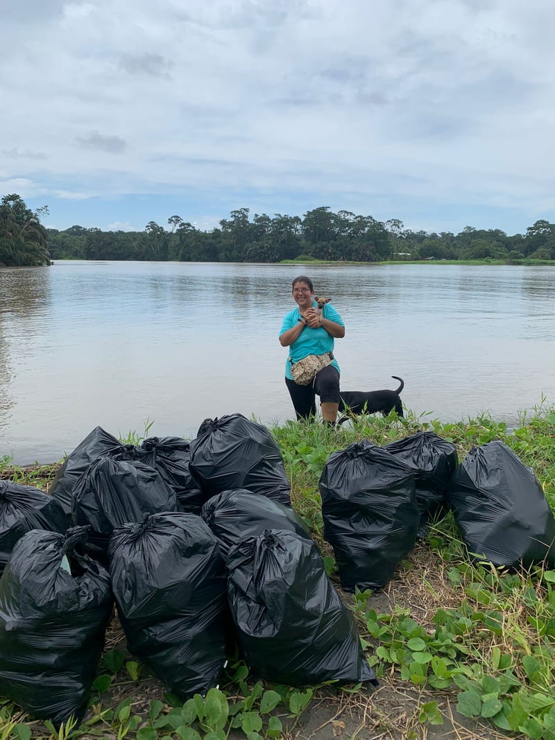 Limpieza de la Playa y Alrededores