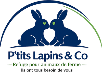 P'tits lapins & Co