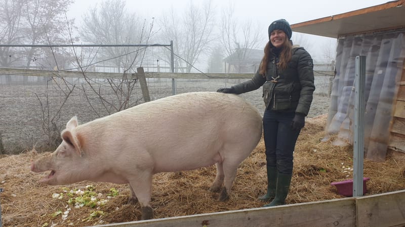 Ferme refuge les 3 Dindes