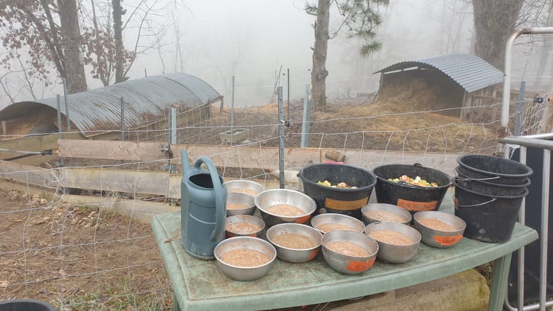 Ferme refuge les 3 Dindes