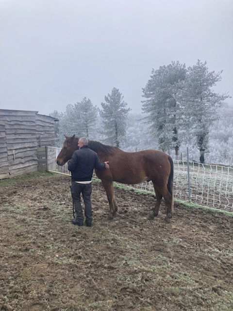 Ferme refuge les 3 Dindes