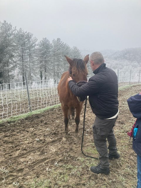 Ferme refuge les 3 Dindes