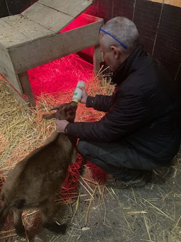 Ferme refuge les 3 Dindes