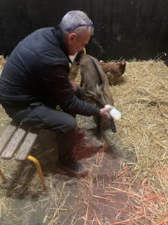 Ferme refuge les 3 Dindes
