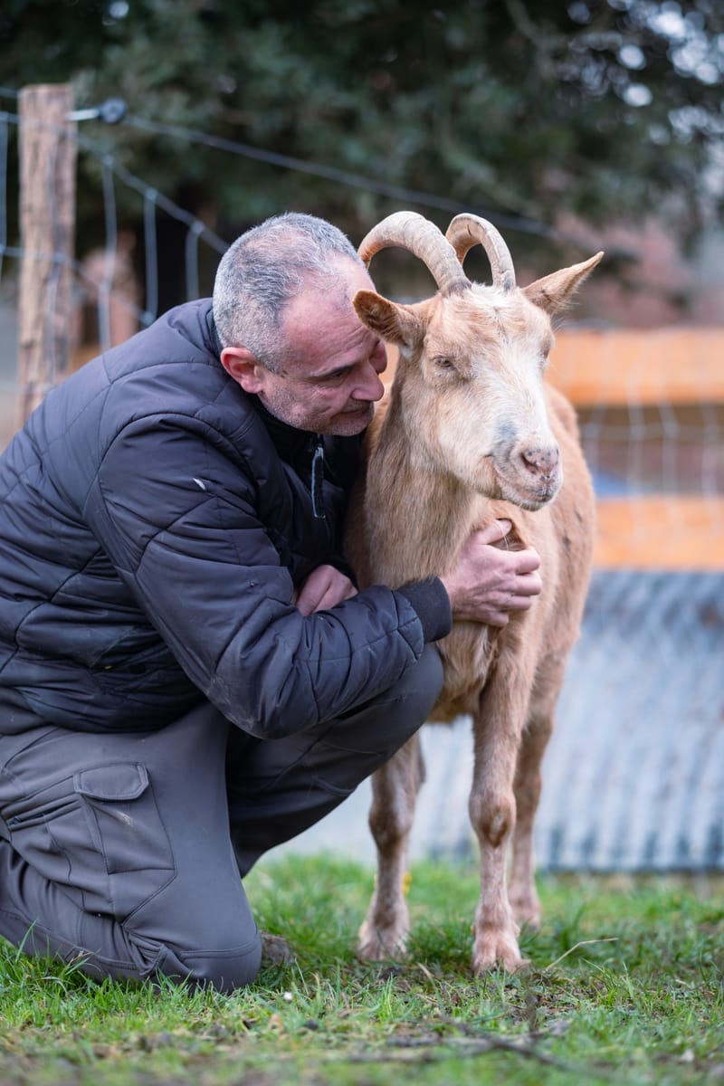 Ferme refuge les 3 Dindes