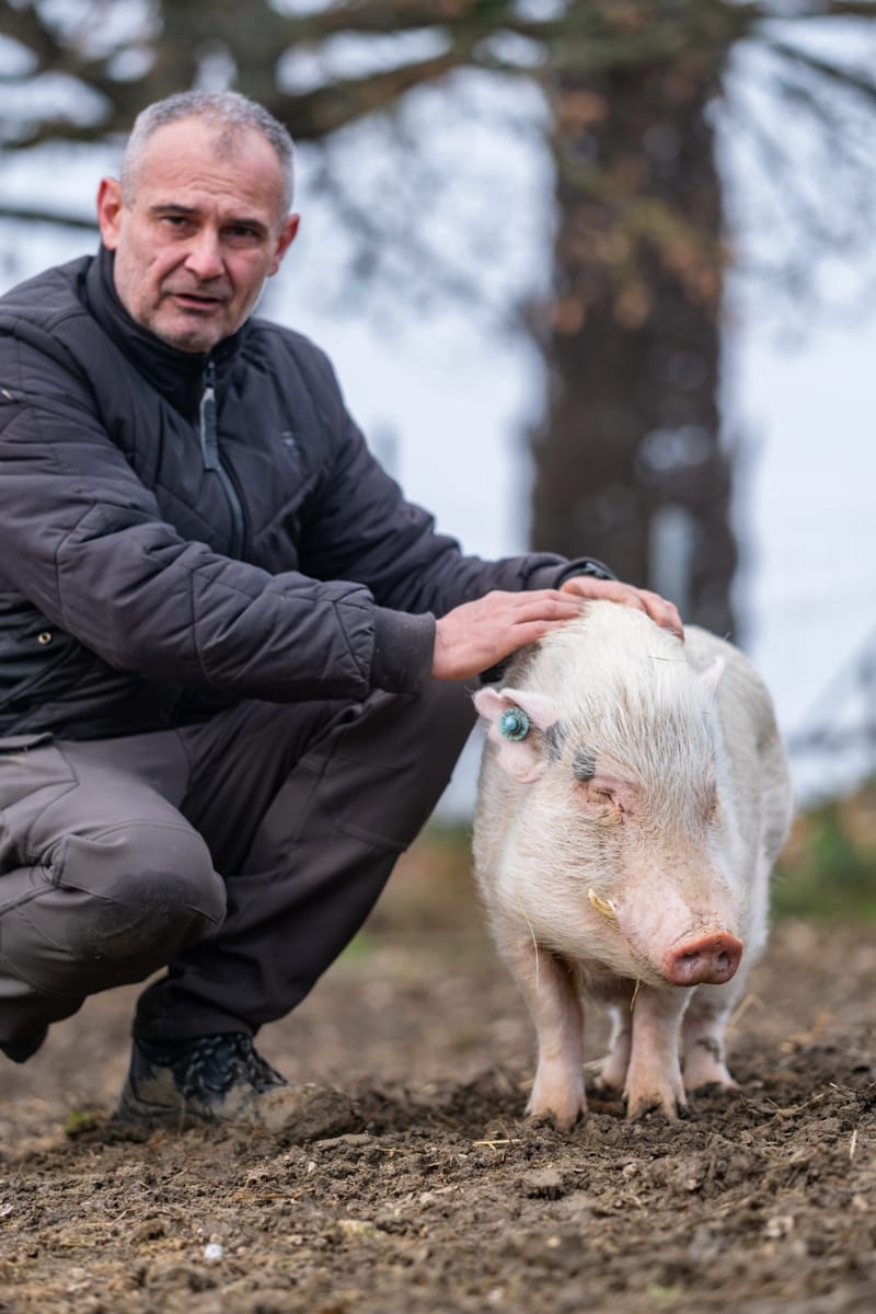 Ferme refuge les 3 Dindes