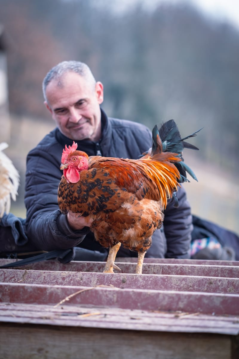 Ferme refuge les 3 Dindes