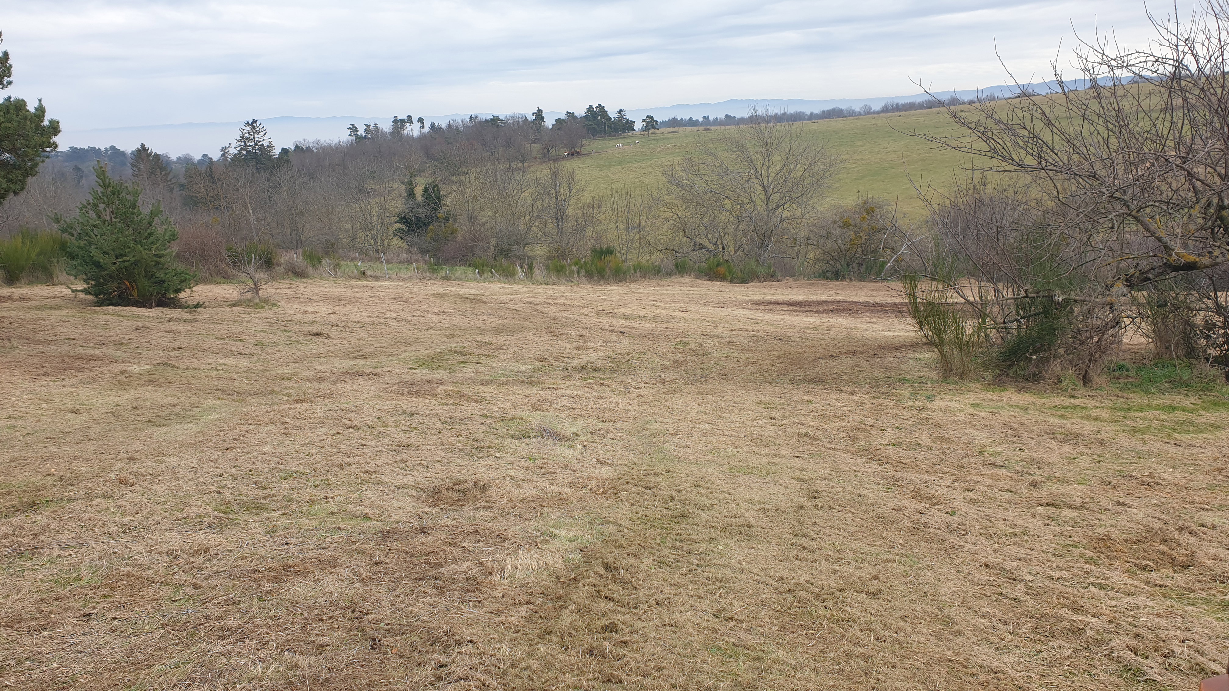 Plot 1 after