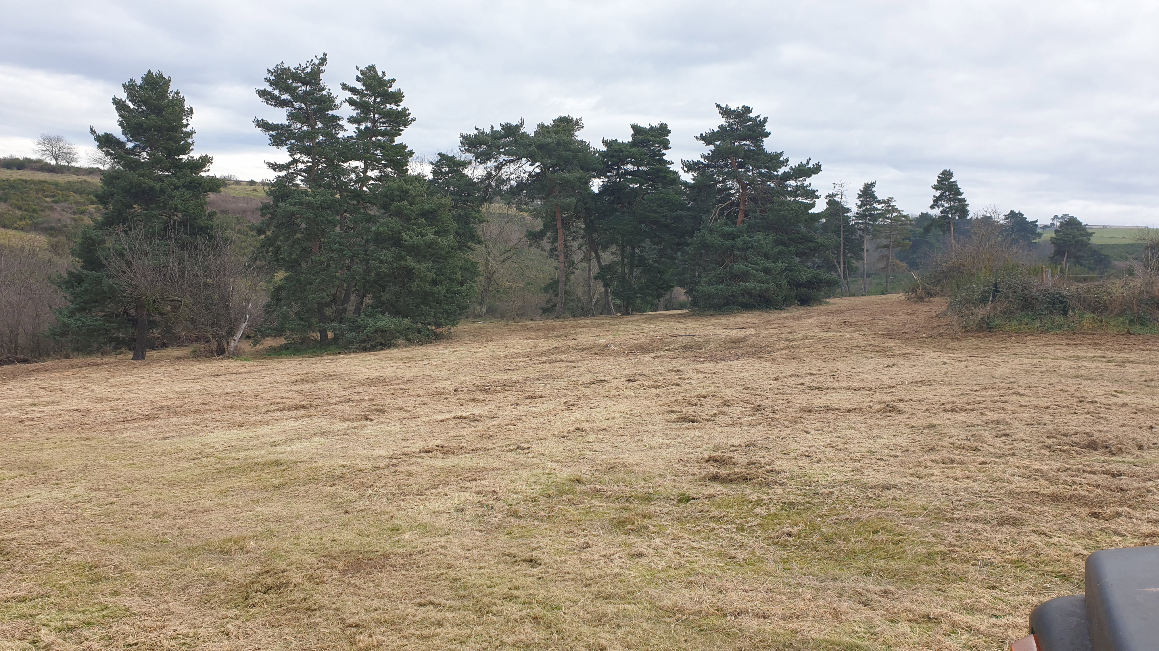 Plot 1 after