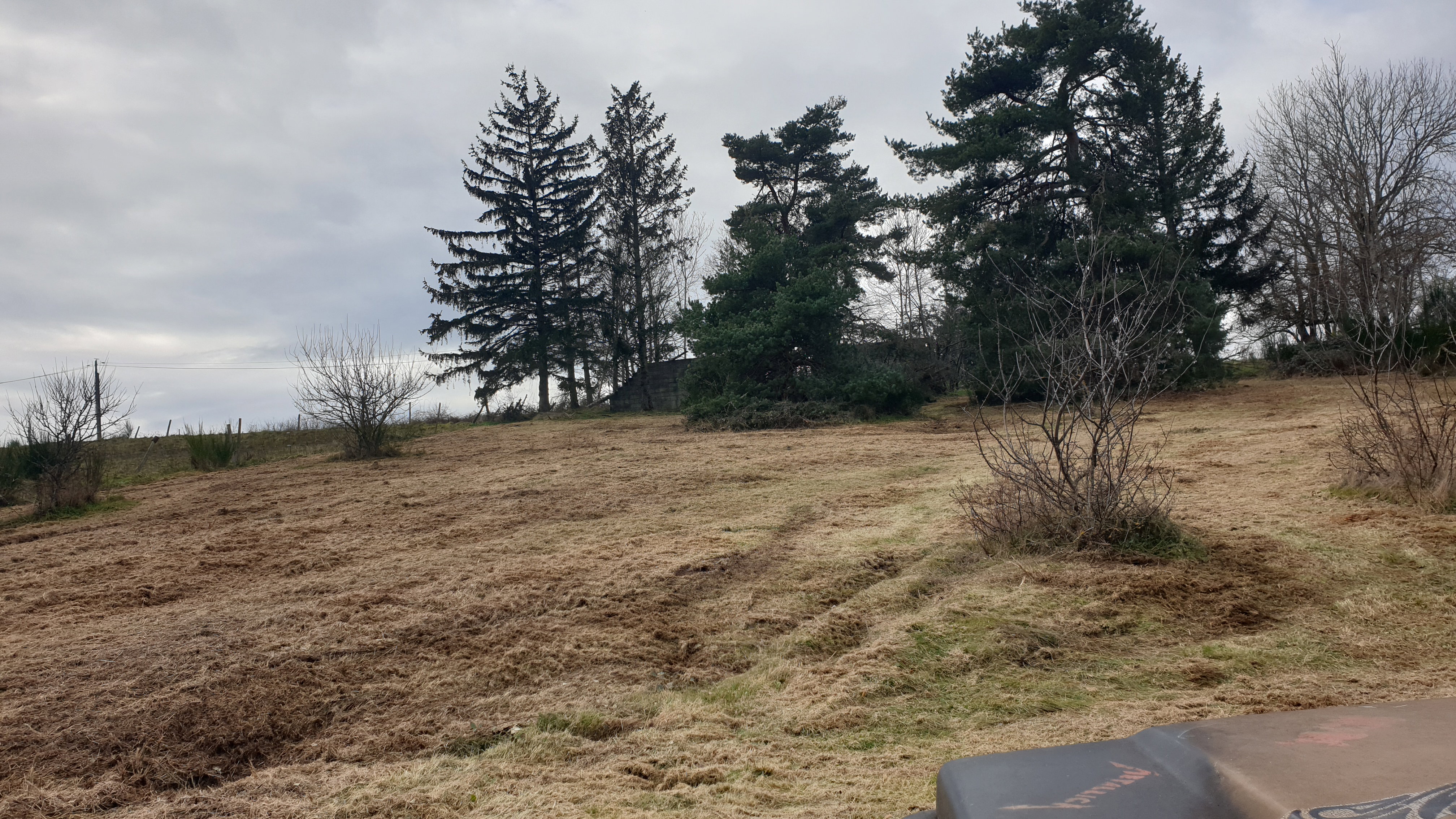 Plot 1 after