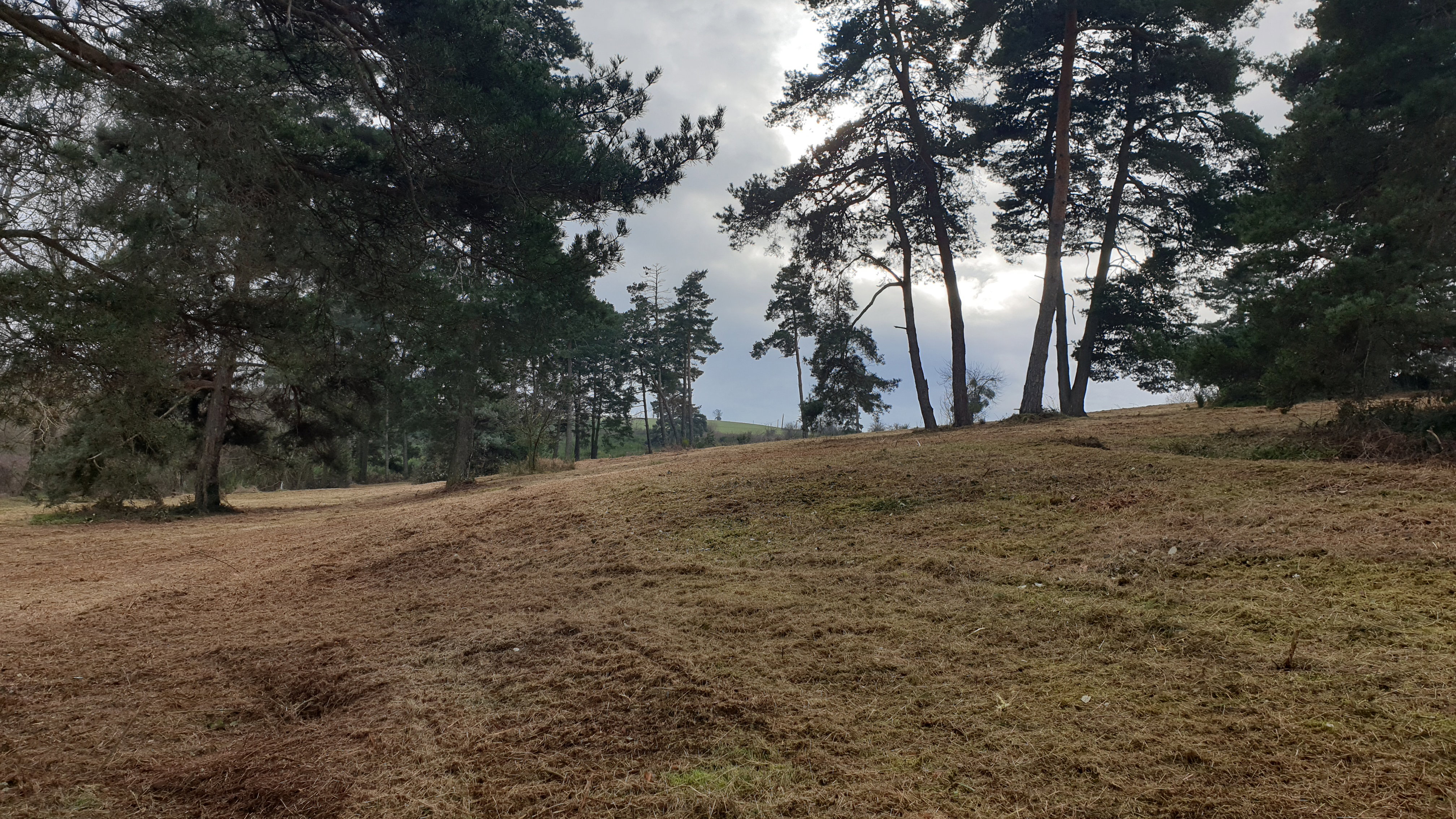 Plot 1 after